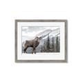Picture of Staring Back _GroupedProduct_Rectangle_Landscape_Photography _GroupedProduct_Rectangle_Landscape_Framed_Matted_