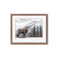 Picture of Staring Back _GroupedProduct_Rectangle_Landscape_Photography _GroupedProduct_Rectangle_Landscape_Framed_Matted_
