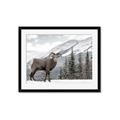 Picture of Staring Back _GroupedProduct_Rectangle_Landscape_Photography _GroupedProduct_Rectangle_Landscape_Framed_Matted_