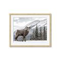 Picture of Staring Back _GroupedProduct_Rectangle_Landscape_Photography _GroupedProduct_Rectangle_Landscape_Framed_Matted_