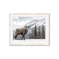 Picture of Staring Back _GroupedProduct_Rectangle_Landscape_Photography _GroupedProduct_Rectangle_Landscape_Framed_Matted_