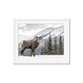 Picture of Staring Back _GroupedProduct_Rectangle_Landscape_Photography _GroupedProduct_Rectangle_Landscape_Framed_Matted_