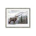 Picture of Staring Back _GroupedProduct_Rectangle_Landscape_Photography _GroupedProduct_Rectangle_Landscape_Framed_Matted_