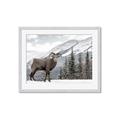 Picture of Staring Back _GroupedProduct_Rectangle_Landscape_Photography _GroupedProduct_Rectangle_Landscape_Framed_Matted_