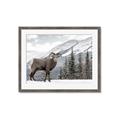 Picture of Staring Back _GroupedProduct_Rectangle_Landscape_Photography _GroupedProduct_Rectangle_Landscape_Framed_Matted_
