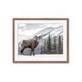 Picture of Staring Back _GroupedProduct_Rectangle_Landscape_Photography _GroupedProduct_Rectangle_Landscape_Framed_Matted_