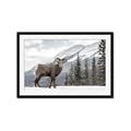 Picture of Staring Back _GroupedProduct_Rectangle_Landscape_Photography _GroupedProduct_Rectangle_Landscape_Framed_Matted_