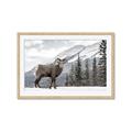 Picture of Staring Back _GroupedProduct_Rectangle_Landscape_Photography _GroupedProduct_Rectangle_Landscape_Framed_Matted_
