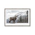 Picture of Staring Back _GroupedProduct_Rectangle_Landscape_Photography _GroupedProduct_Rectangle_Landscape_Framed_Matted_