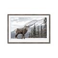 Picture of Staring Back _GroupedProduct_Rectangle_Landscape_Photography _GroupedProduct_Rectangle_Landscape_Framed_Matted_