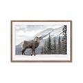 Picture of Staring Back _GroupedProduct_Rectangle_Landscape_Photography _GroupedProduct_Rectangle_Landscape_Framed_Matted_