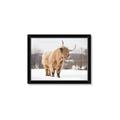Picture of Fluffy Friend _GroupedProduct_Rectangle_Landscape_Photography _GroupedProduct_Rectangle_Landscape_Framed_Matted_