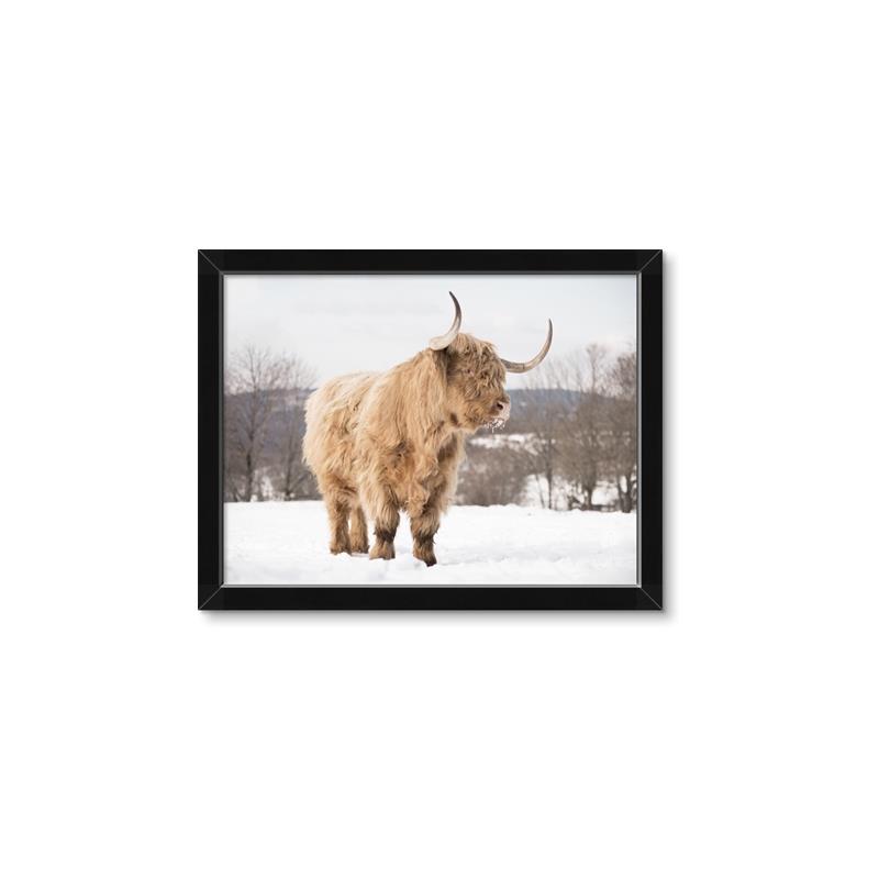 Picture of Fluffy Friend _GroupedProduct_Rectangle_Landscape_Photography _GroupedProduct_Rectangle_Landscape_Framed_Matted_