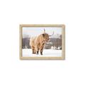 Picture of Fluffy Friend _GroupedProduct_Rectangle_Landscape_Photography _GroupedProduct_Rectangle_Landscape_Framed_Matted_