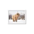 Picture of Fluffy Friend _GroupedProduct_Rectangle_Landscape_Photography _GroupedProduct_Rectangle_Landscape_Framed_Matted_