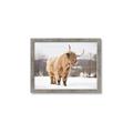 Picture of Fluffy Friend _GroupedProduct_Rectangle_Landscape_Photography _GroupedProduct_Rectangle_Landscape_Framed_Matted_