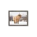 Picture of Fluffy Friend _GroupedProduct_Rectangle_Landscape_Photography _GroupedProduct_Rectangle_Landscape_Framed_Matted_