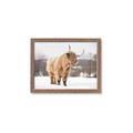 Picture of Fluffy Friend _GroupedProduct_Rectangle_Landscape_Photography _GroupedProduct_Rectangle_Landscape_Framed_Matted_