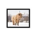 Picture of Fluffy Friend _GroupedProduct_Rectangle_Landscape_Photography _GroupedProduct_Rectangle_Landscape_Framed_Matted_