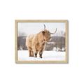 Picture of Fluffy Friend _GroupedProduct_Rectangle_Landscape_Photography _GroupedProduct_Rectangle_Landscape_Framed_Matted_