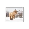 Picture of Fluffy Friend _GroupedProduct_Rectangle_Landscape_Photography _GroupedProduct_Rectangle_Landscape_Framed_Matted_