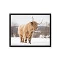 Picture of Fluffy Friend _GroupedProduct_Rectangle_Landscape_Photography _GroupedProduct_Rectangle_Landscape_Framed_Matted_