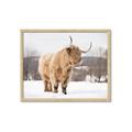 Picture of Fluffy Friend _GroupedProduct_Rectangle_Landscape_Photography _GroupedProduct_Rectangle_Landscape_Framed_Matted_