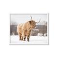Picture of Fluffy Friend _GroupedProduct_Rectangle_Landscape_Photography _GroupedProduct_Rectangle_Landscape_Framed_Matted_