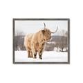 Picture of Fluffy Friend _GroupedProduct_Rectangle_Landscape_Photography _GroupedProduct_Rectangle_Landscape_Framed_Matted_