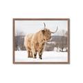 Picture of Fluffy Friend _GroupedProduct_Rectangle_Landscape_Photography _GroupedProduct_Rectangle_Landscape_Framed_Matted_