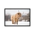 Picture of Fluffy Friend _GroupedProduct_Rectangle_Landscape_Photography _GroupedProduct_Rectangle_Landscape_Framed_Matted_