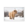 Picture of Fluffy Friend _GroupedProduct_Rectangle_Landscape_Photography _GroupedProduct_Rectangle_Landscape_Framed_Matted_