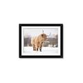 Picture of Fluffy Friend _GroupedProduct_Rectangle_Landscape_Photography _GroupedProduct_Rectangle_Landscape_Framed_Matted_
