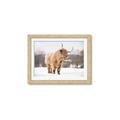Picture of Fluffy Friend _GroupedProduct_Rectangle_Landscape_Photography _GroupedProduct_Rectangle_Landscape_Framed_Matted_
