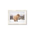 Picture of Fluffy Friend _GroupedProduct_Rectangle_Landscape_Photography _GroupedProduct_Rectangle_Landscape_Framed_Matted_