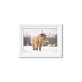 Picture of Fluffy Friend _GroupedProduct_Rectangle_Landscape_Photography _GroupedProduct_Rectangle_Landscape_Framed_Matted_