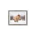 Picture of Fluffy Friend _GroupedProduct_Rectangle_Landscape_Photography _GroupedProduct_Rectangle_Landscape_Framed_Matted_