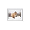 Picture of Fluffy Friend _GroupedProduct_Rectangle_Landscape_Photography _GroupedProduct_Rectangle_Landscape_Framed_Matted_