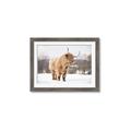 Picture of Fluffy Friend _GroupedProduct_Rectangle_Landscape_Photography _GroupedProduct_Rectangle_Landscape_Framed_Matted_