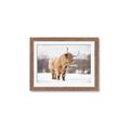 Picture of Fluffy Friend _GroupedProduct_Rectangle_Landscape_Photography _GroupedProduct_Rectangle_Landscape_Framed_Matted_