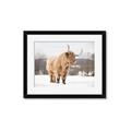 Picture of Fluffy Friend _GroupedProduct_Rectangle_Landscape_Photography _GroupedProduct_Rectangle_Landscape_Framed_Matted_