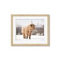 Picture of Fluffy Friend _GroupedProduct_Rectangle_Landscape_Photography _GroupedProduct_Rectangle_Landscape_Framed_Matted_