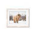 Picture of Fluffy Friend _GroupedProduct_Rectangle_Landscape_Photography _GroupedProduct_Rectangle_Landscape_Framed_Matted_