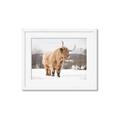 Picture of Fluffy Friend _GroupedProduct_Rectangle_Landscape_Photography _GroupedProduct_Rectangle_Landscape_Framed_Matted_