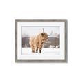Picture of Fluffy Friend _GroupedProduct_Rectangle_Landscape_Photography _GroupedProduct_Rectangle_Landscape_Framed_Matted_