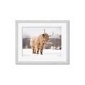 Picture of Fluffy Friend _GroupedProduct_Rectangle_Landscape_Photography _GroupedProduct_Rectangle_Landscape_Framed_Matted_