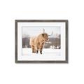 Picture of Fluffy Friend _GroupedProduct_Rectangle_Landscape_Photography _GroupedProduct_Rectangle_Landscape_Framed_Matted_