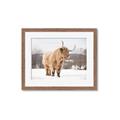 Picture of Fluffy Friend _GroupedProduct_Rectangle_Landscape_Photography _GroupedProduct_Rectangle_Landscape_Framed_Matted_