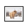 Picture of Fluffy Friend _GroupedProduct_Rectangle_Landscape_Photography _GroupedProduct_Rectangle_Landscape_Framed_Matted_