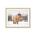 Picture of Fluffy Friend _GroupedProduct_Rectangle_Landscape_Photography _GroupedProduct_Rectangle_Landscape_Framed_Matted_